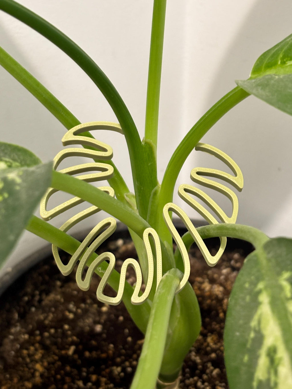 Monstera Leaf Plant Stem Holder: 3D Printed Houseplant Support - Set of 2